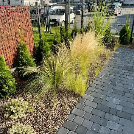 Platinum Park *